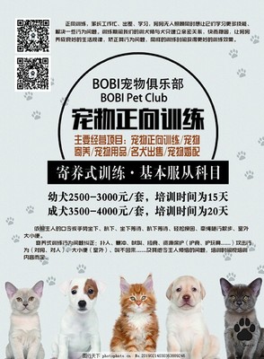 寵愛無限，服務無憂——新店開業，專為愛寵而來！